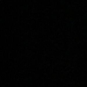 Meet your Posher, Max